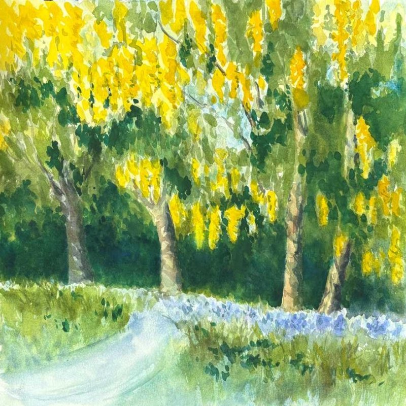 l laburnum
